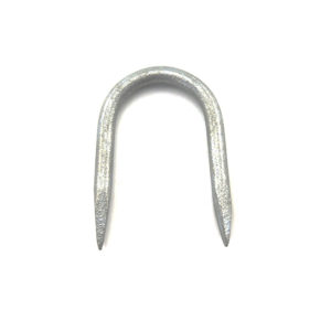 Rolled Point Galvanized Staple