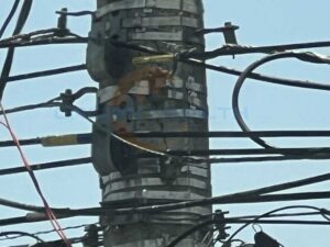 ADSS Cable J Hook Suspension Clamp